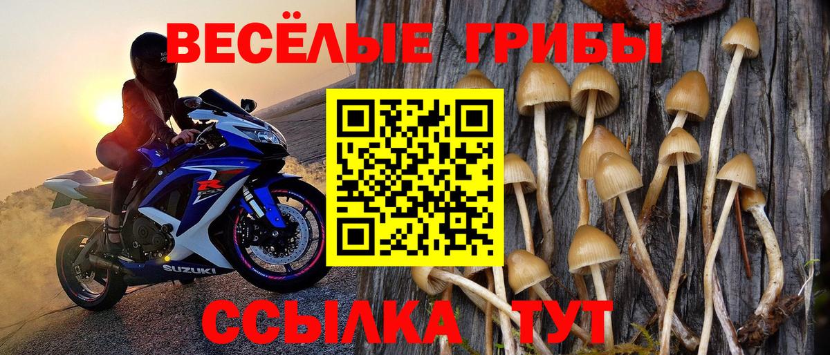 Псилоцибиновые грибы MAGIC MUSHROOMS Дедовск
