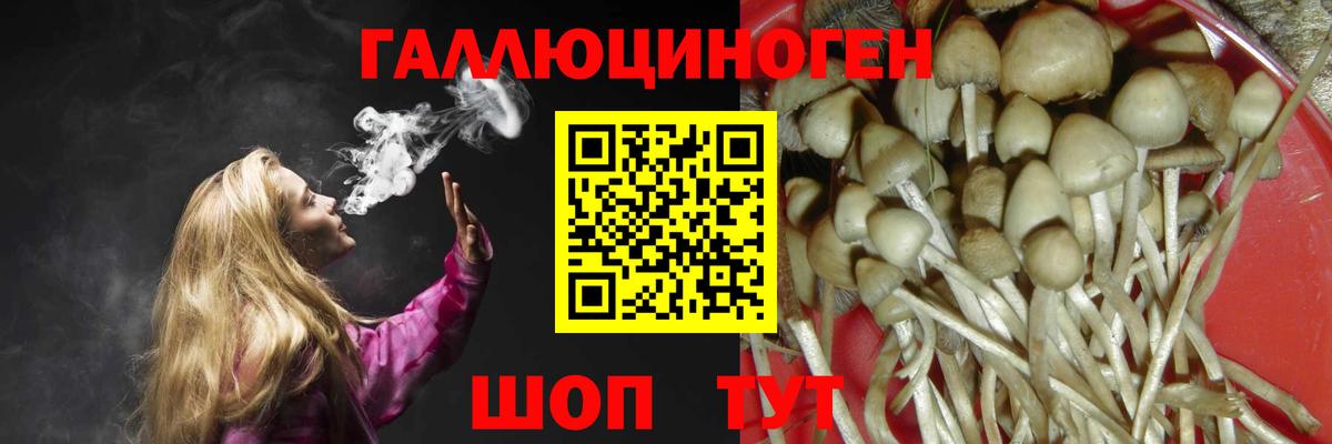 Дедовск  Галлюциногенные грибы ЛСД  Вход с VPN 